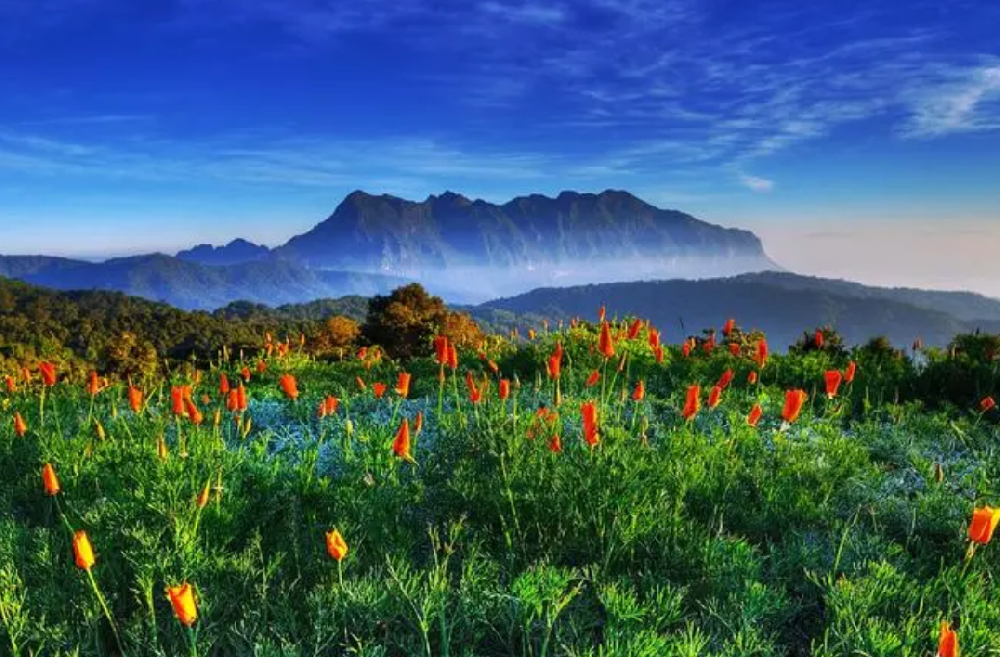 深圳小程序开发价格怎么样（了解开发费用的参考标准）