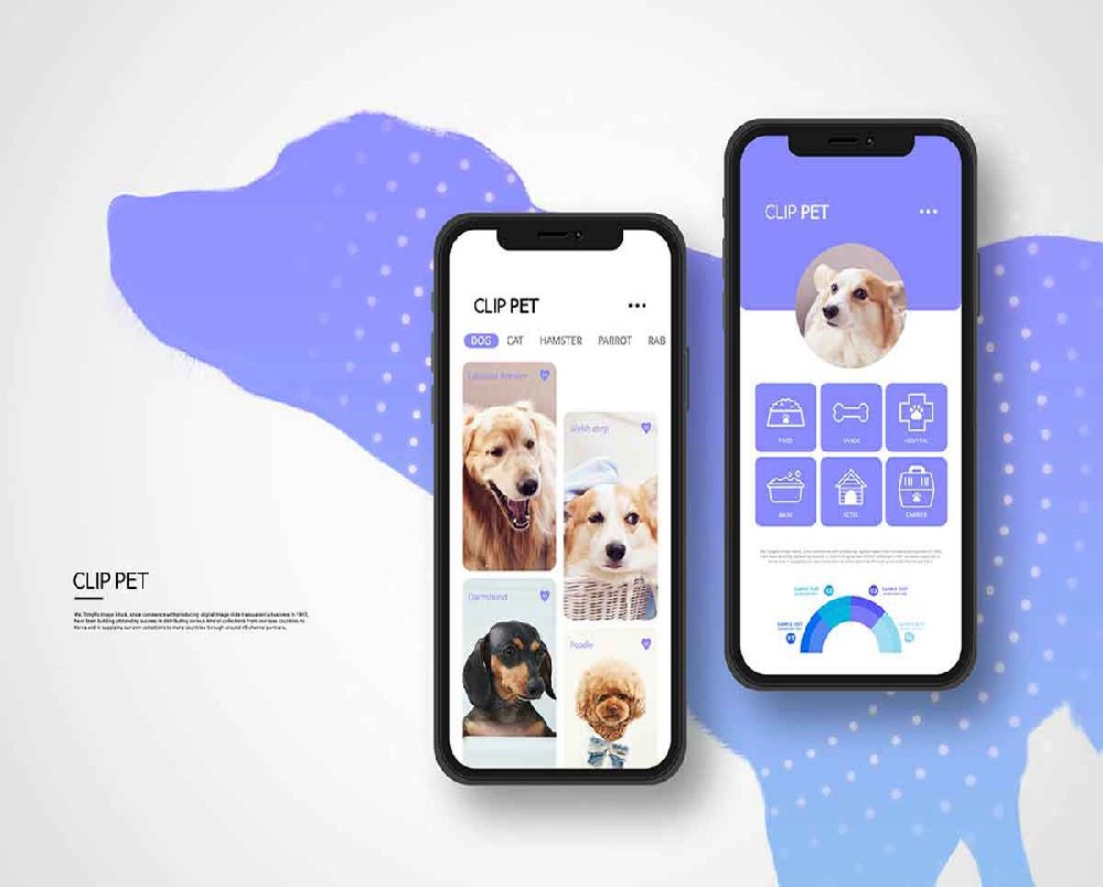 微信小程序开发资源推荐（涵盖各种开发所需资源）